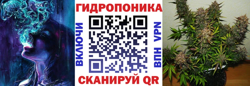 Марихуана OG Kush  Купить закладки  Камышлов 